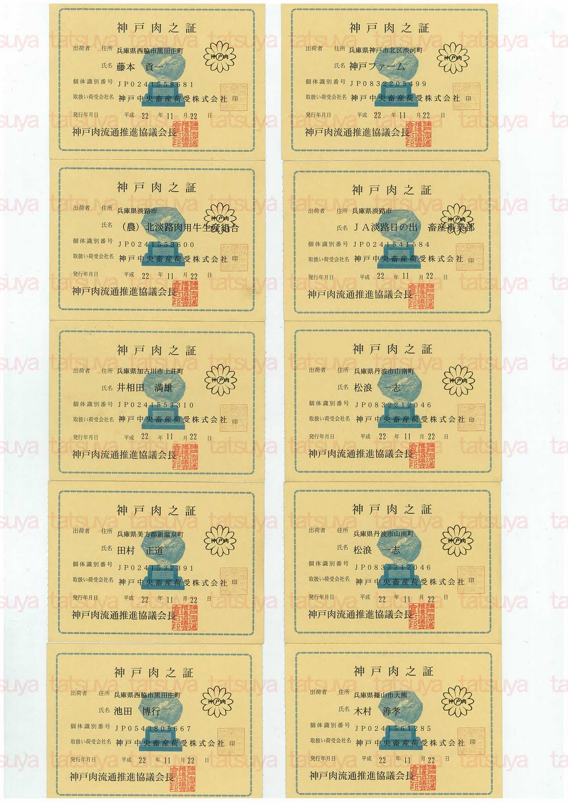 [LOT-10122101-#3.jpg]