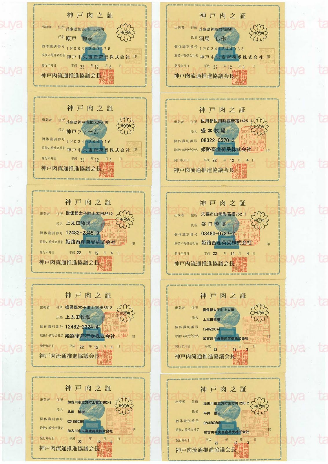 [LOT-10123001-#5.jpg]