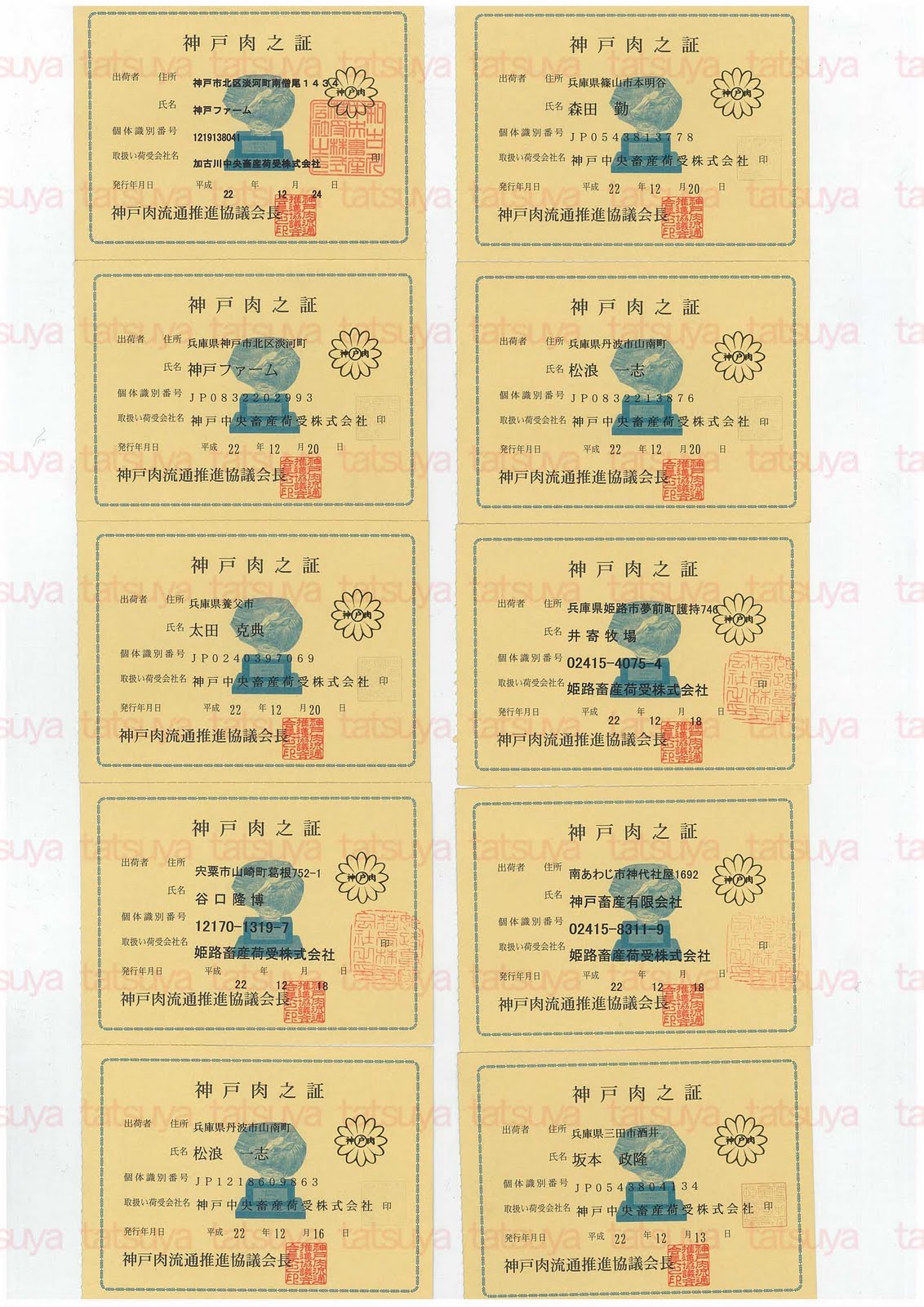 [LOT-11010701-#1.jpg]