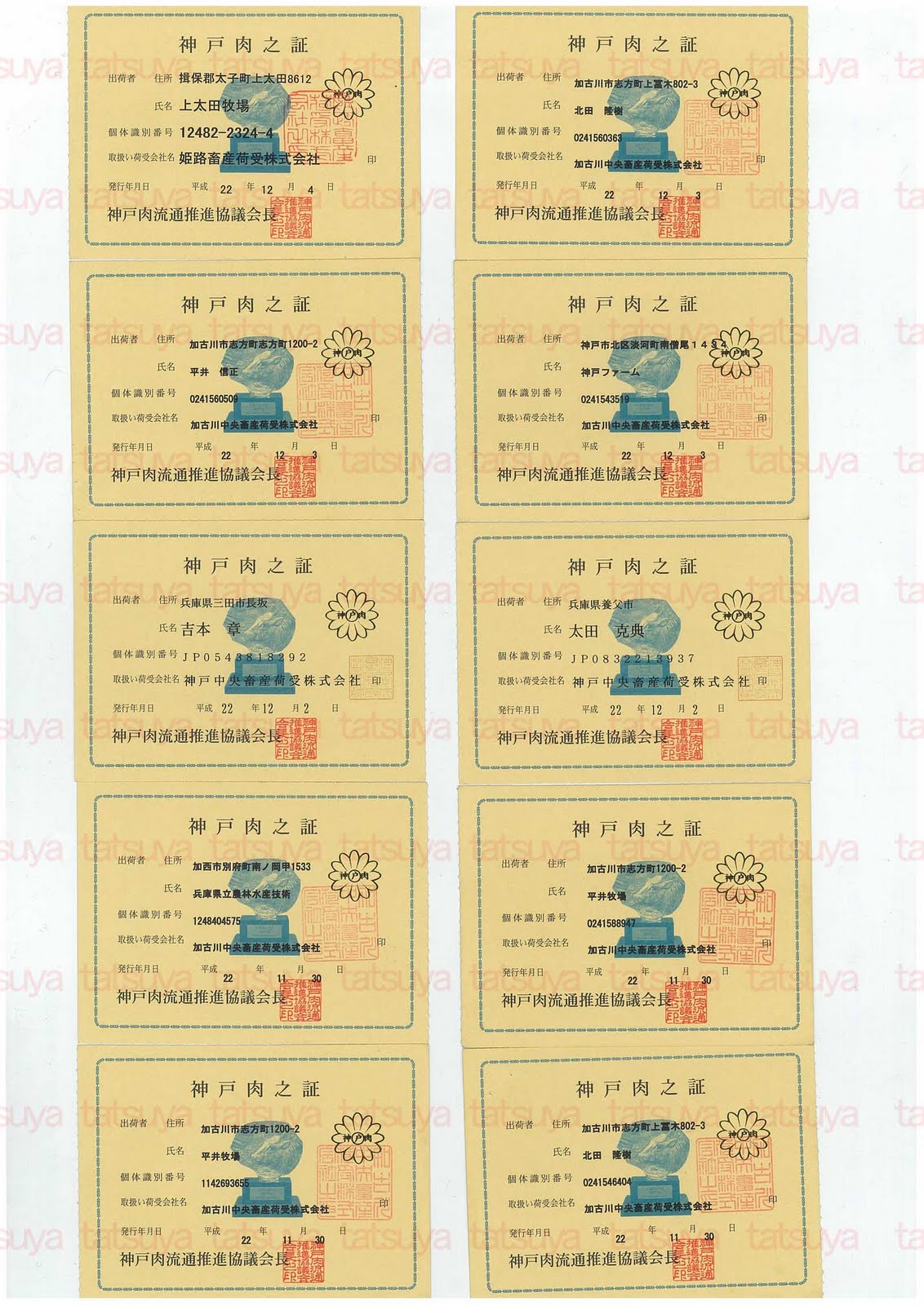 [LOT-10122501-#2.jpg]
