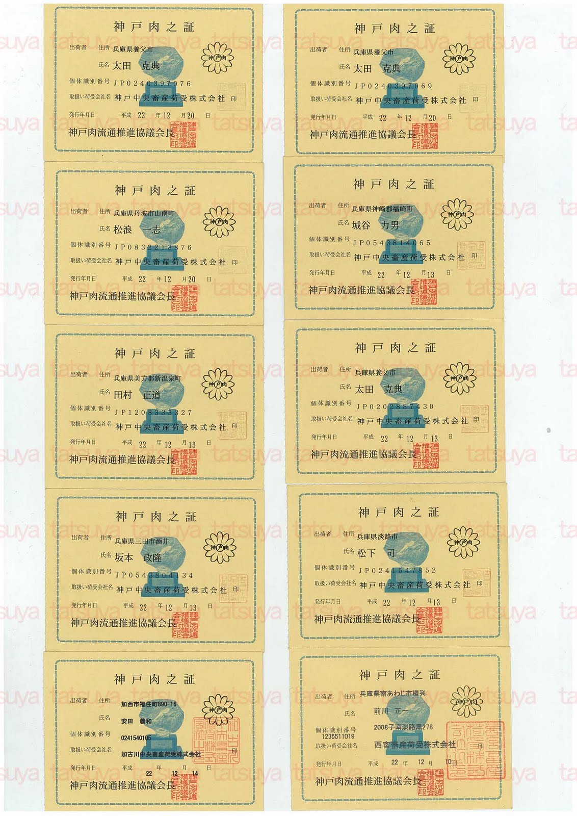 [LOT-10122701-#1.jpg]