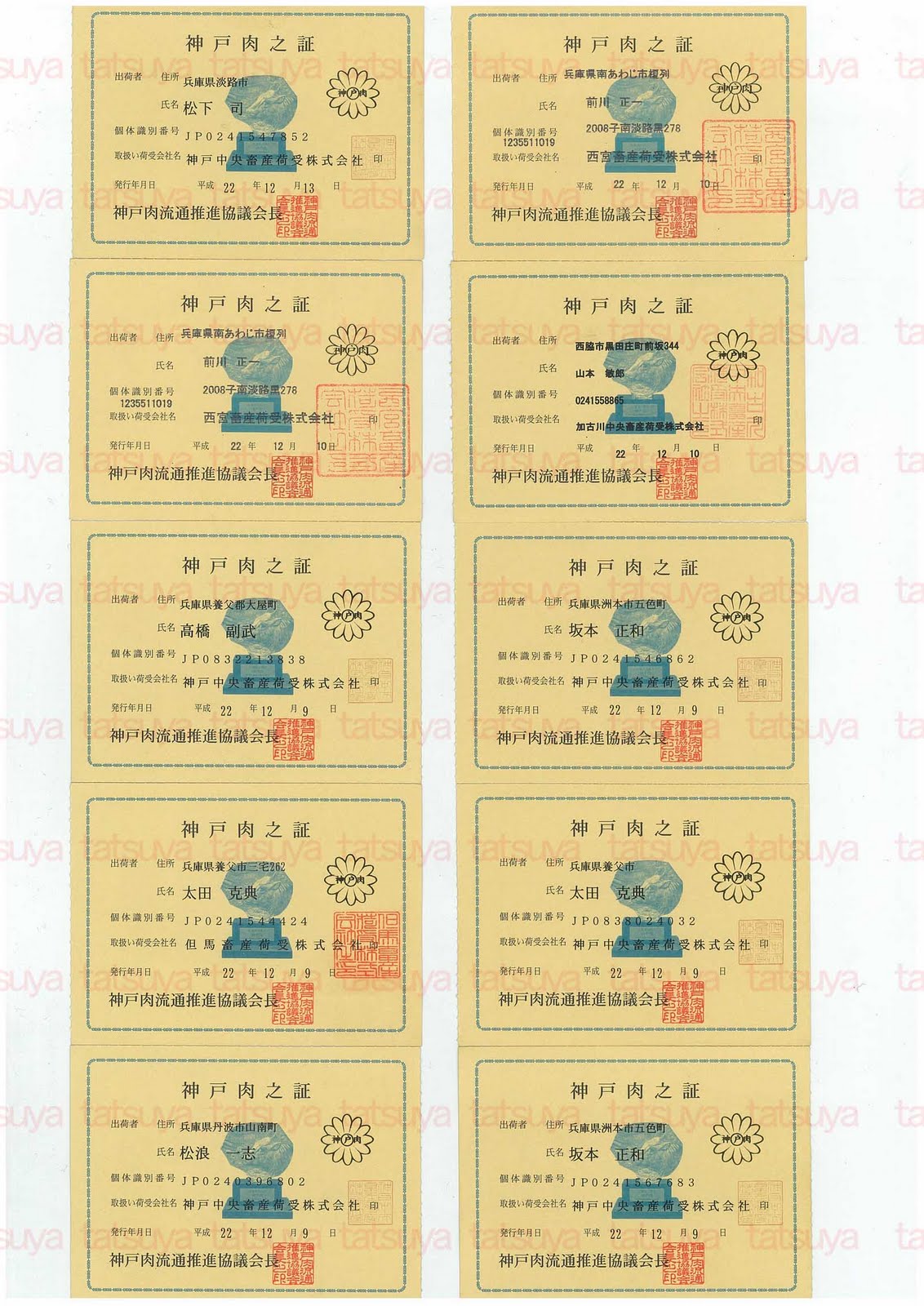 [LOT-10122901-#2.jpg]