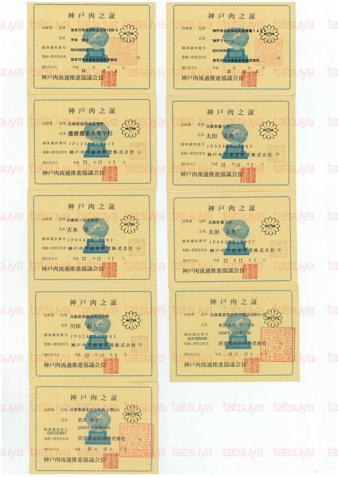 [LOT-10122901-#5.jpg]