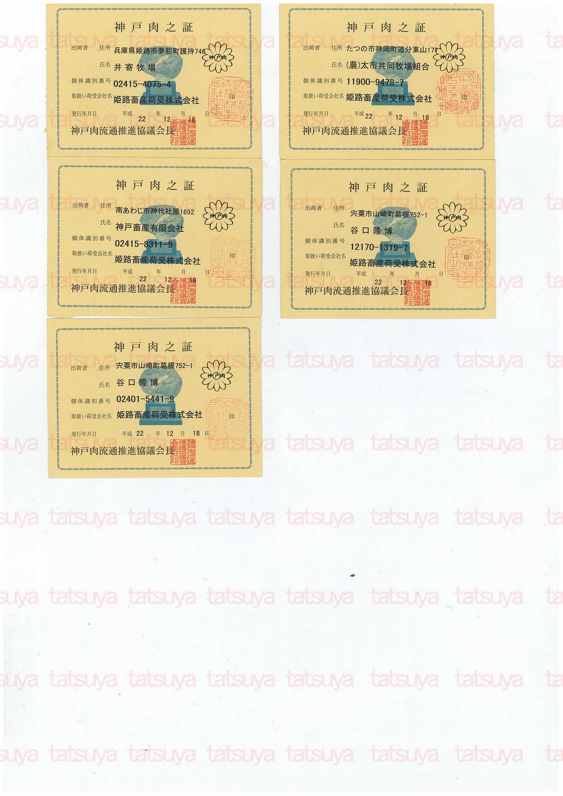[LOT-11011501-#2.jpg]