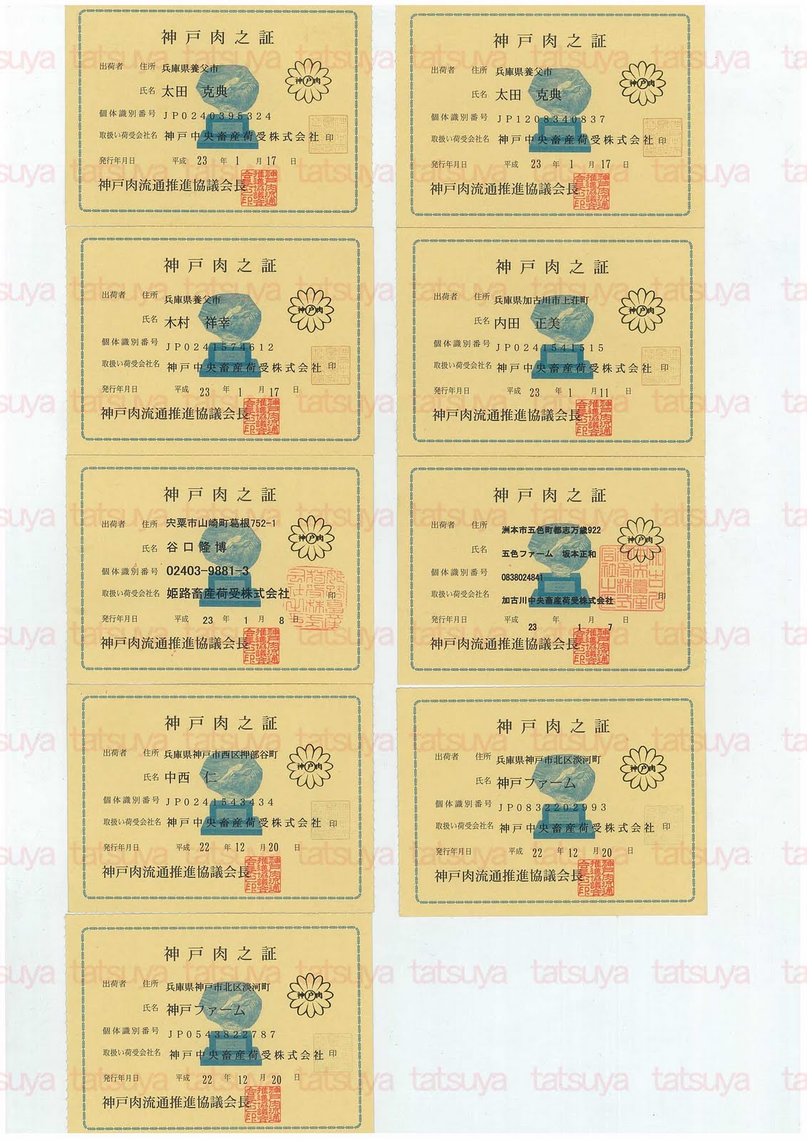 [LOT-11012201-#1.jpg]