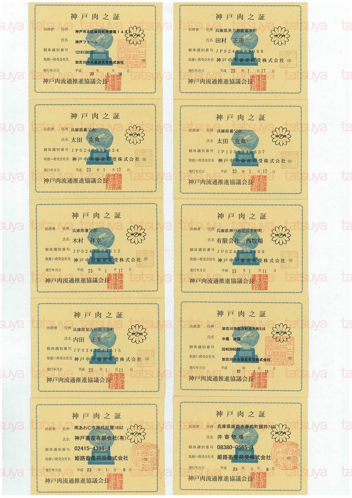 [LOT-11012701-#1.jpg]
