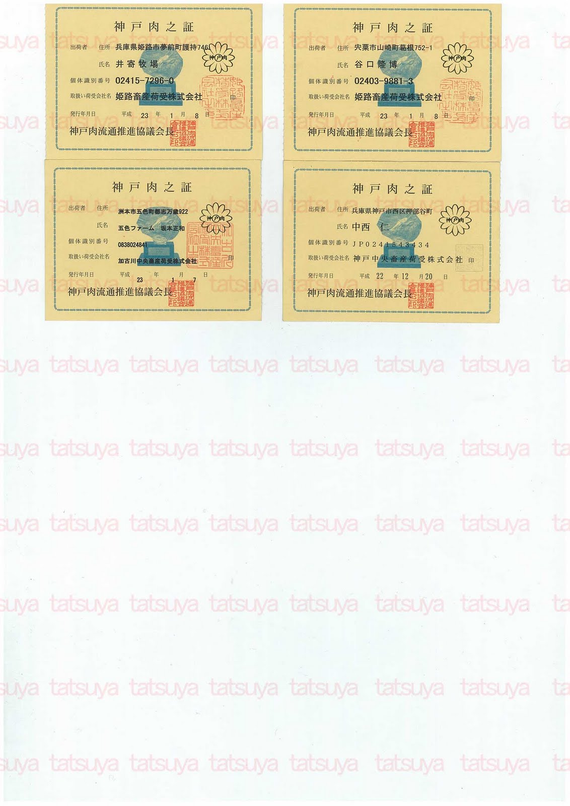 [LOT-11012701-#2.jpg]