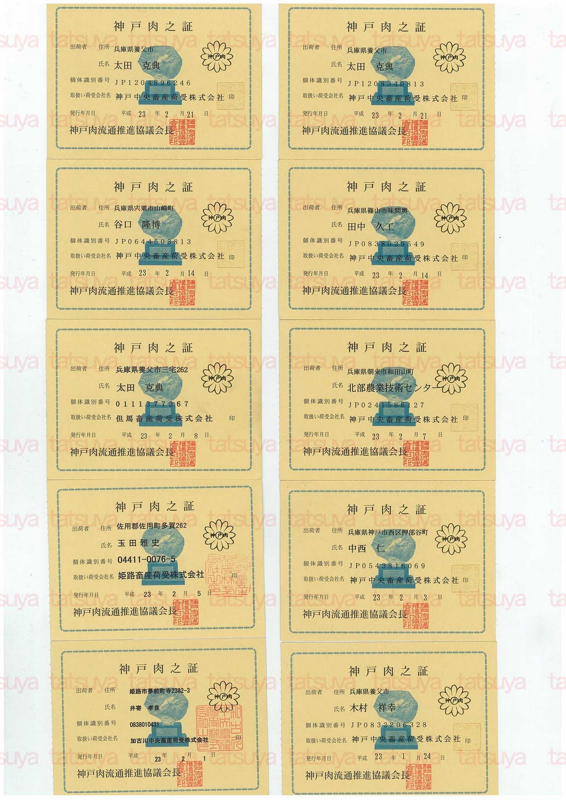 [LOT-11022401-#1.jpg]