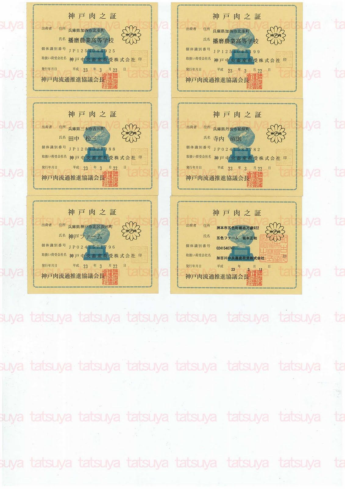 [LOT-11041901-#2.jpg]