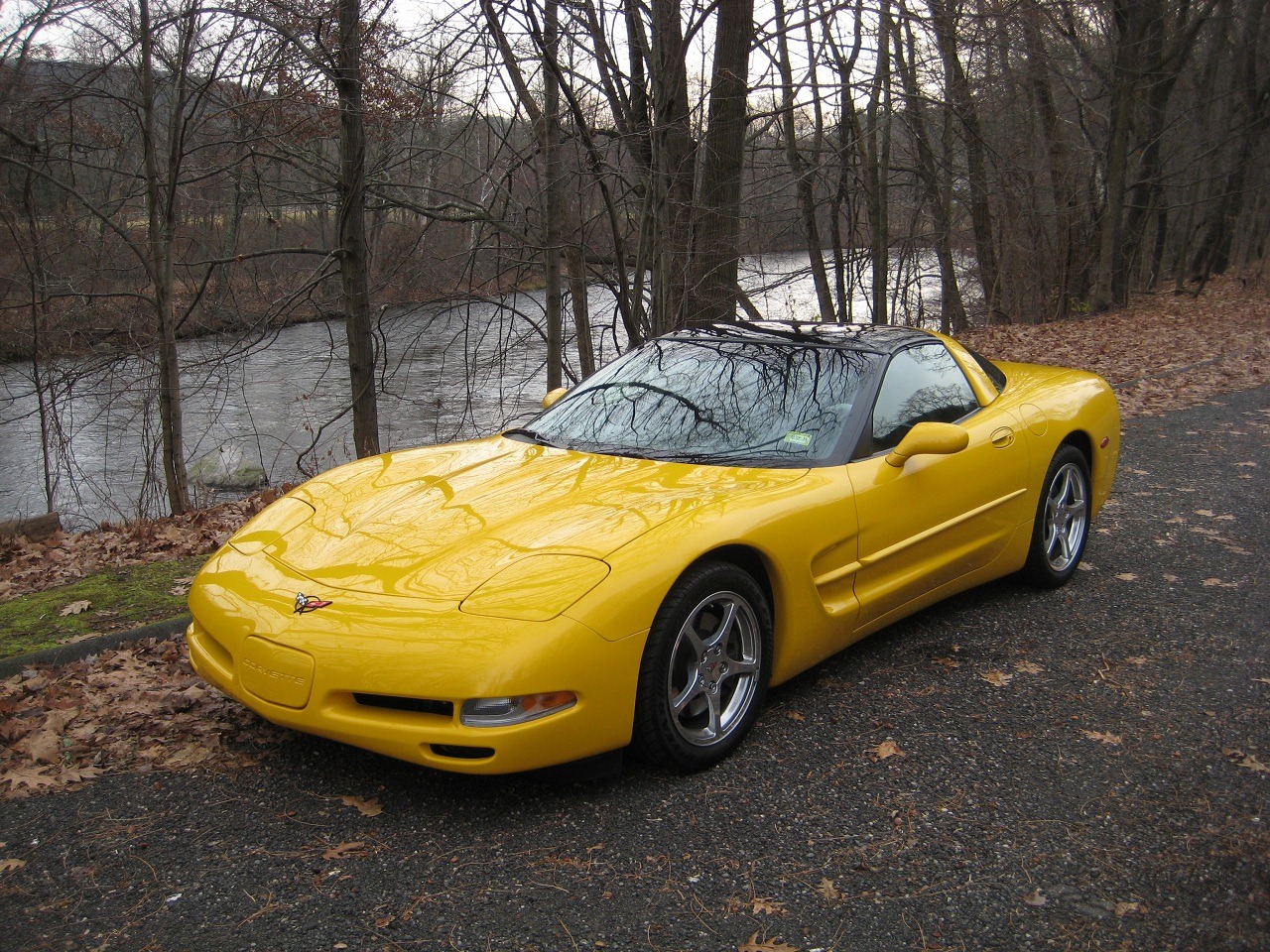 [vette09[5].jpg]