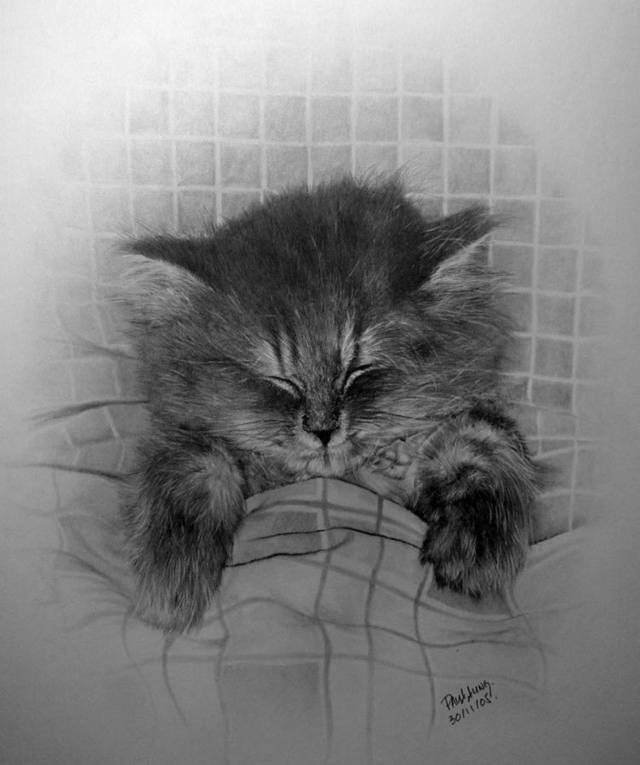 Image Dimension: 640x765 Unbelievable Pencil Drawings by Paul Lung