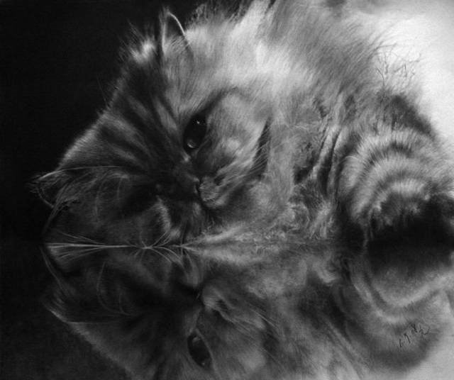 Image Dimension: 640x536 Unbelievable Pencil Drawings by Paul Lung