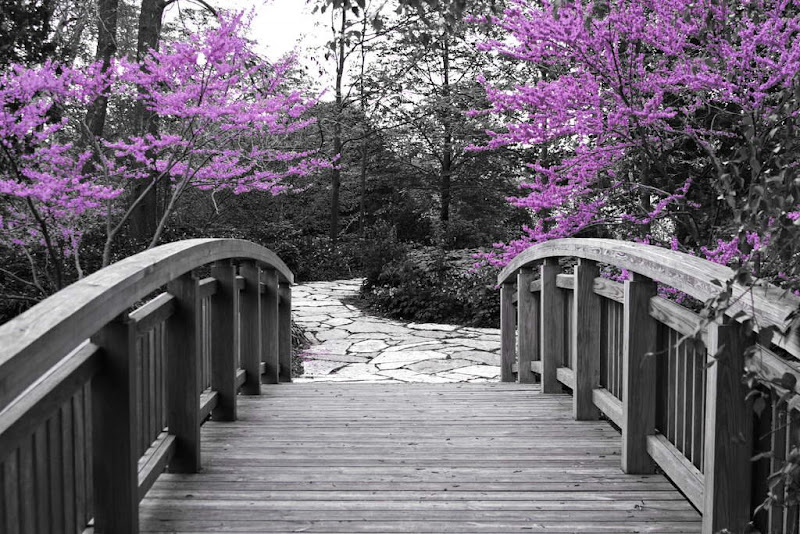 Glorious Spring ....