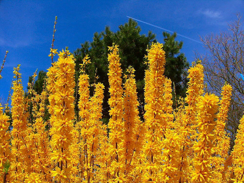 Glorious Spring ....