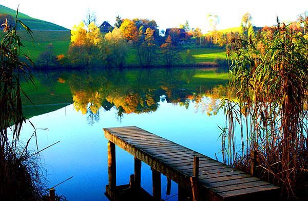 Lovely nature pics to soothe your eyes