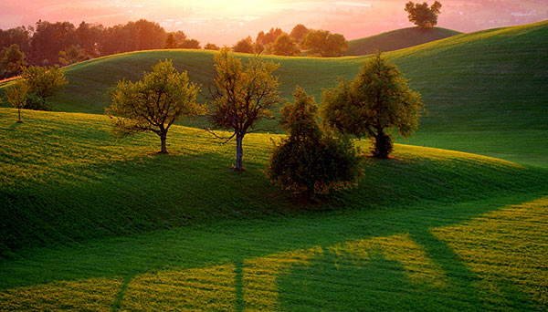 Lovely nature pics to soothe your eyes