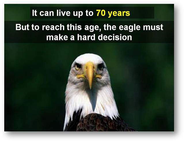 Change... The Ultimate Truth of Life - Eagle Story