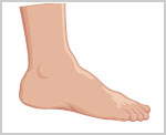 Image Dimension: 150x122 :: Did you know that according to the Chinese, your feet describe your luck. Decipher your Fortune! Did you know that according to the Chinese, your feet describe your luck. Decipher your Fortune!