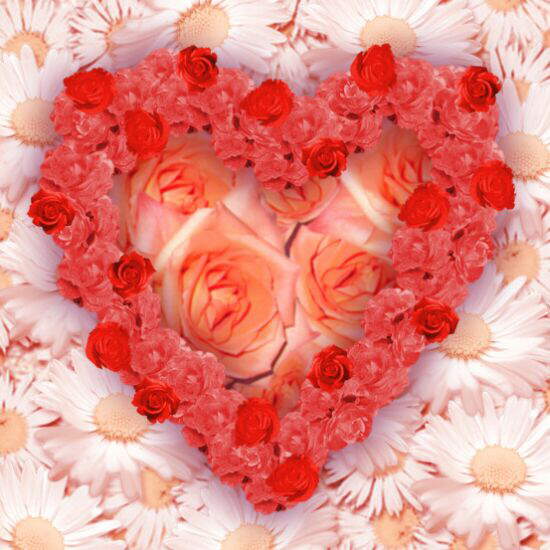 Lovely Hearts [Photo Collection]