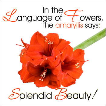 Express your Love...