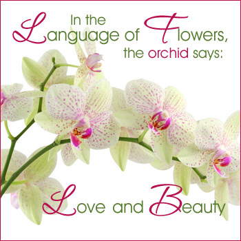 Express your Love...