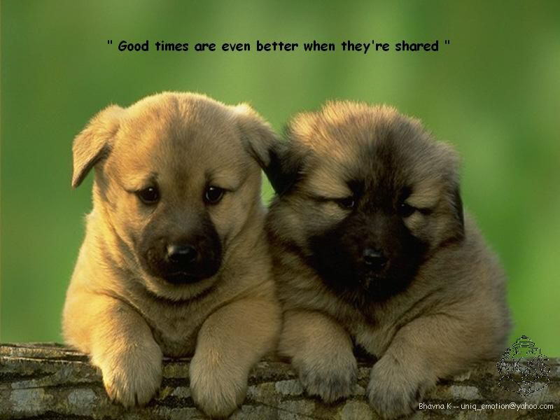 6 Rules of Life