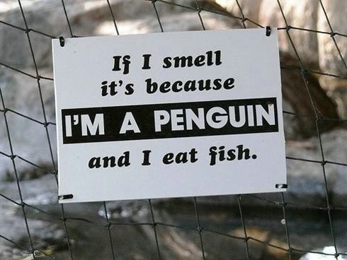 Funny Zoo Signs