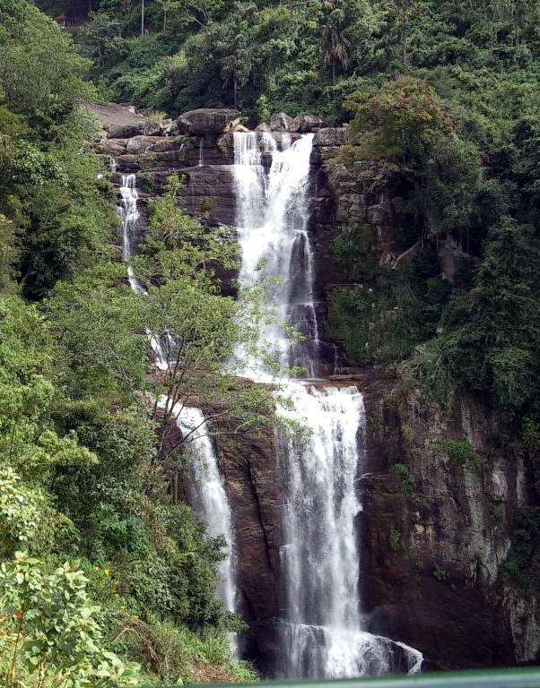 Image Dimension: 602x768 :: Beauty of Srilanka - Paradise on Earth Beauty of Srilanka - Paradise on Earth