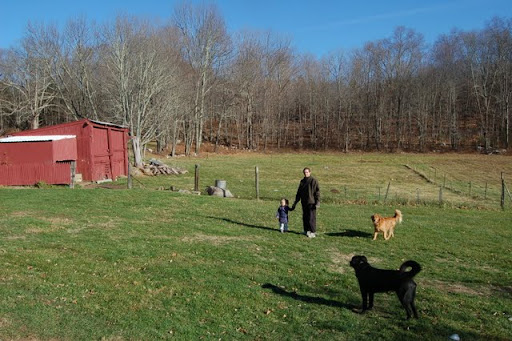 In our new home! - Homesteading Questions