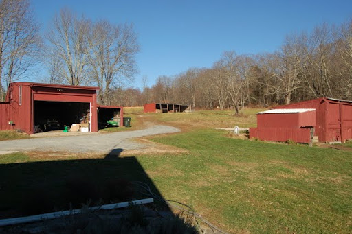 In our new home! - Homesteading Questions