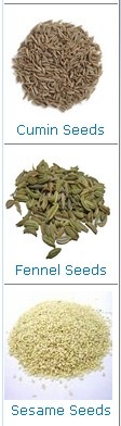 [Fennel Hindi India spices English words Translate[6].jpg]