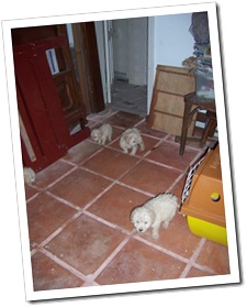 100_4811 100_4811
