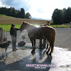 Würzetrek_2010 (24) Kopie.jpg