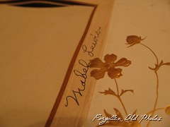 IMG_0761 IMG_0761