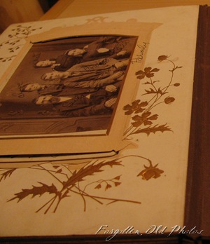 IMG_0775 IMG_0775