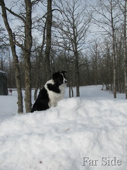 IMG_1465 IMG_1465