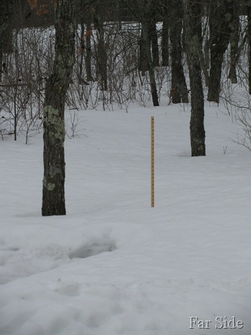 [March17Snowstick7.jpg]