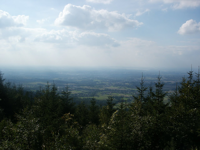 http://lh6.ggpht.com/_6Kl_mAt7IYk/TAQvyuzrxrI/AAAAAAAAB9g/mXz384bDZRs/s640/PICT5685.JPG