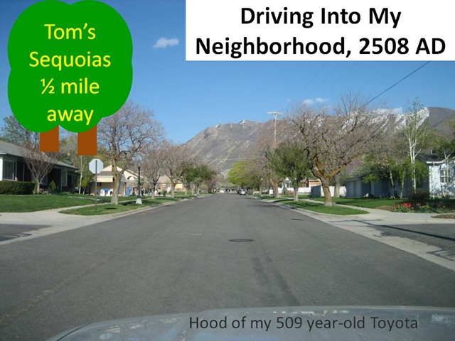 [Sequoia Neighborhood[6].jpg]