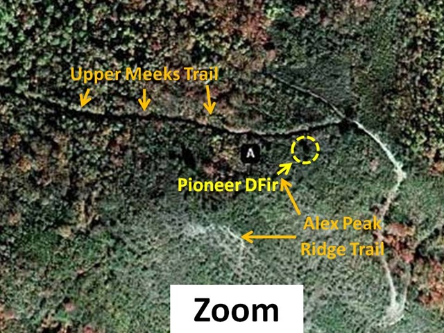 [Pioneer DFir Map Zoom[5].jpg]