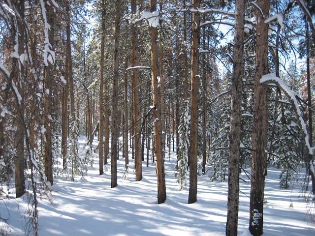 [IMG_78145.jpg]