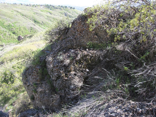 [IMG_51875.jpg]