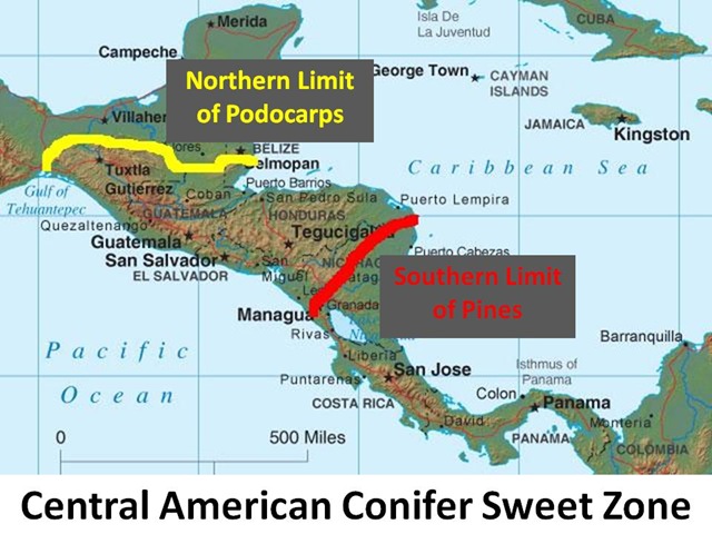 [SweetZoneMap4.jpg]