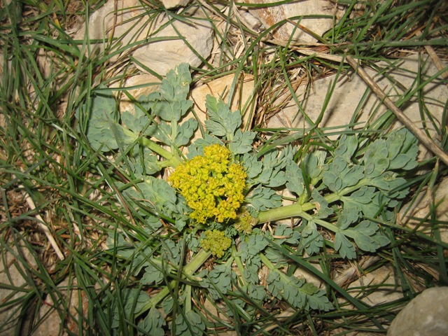[IMG_90655.jpg]