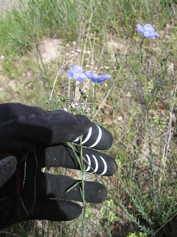 [IMG_98035.jpg]