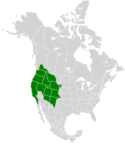 [Papilio_rutulus_range_map[5].png]