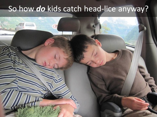 [Boyssleepingcar5.jpg]