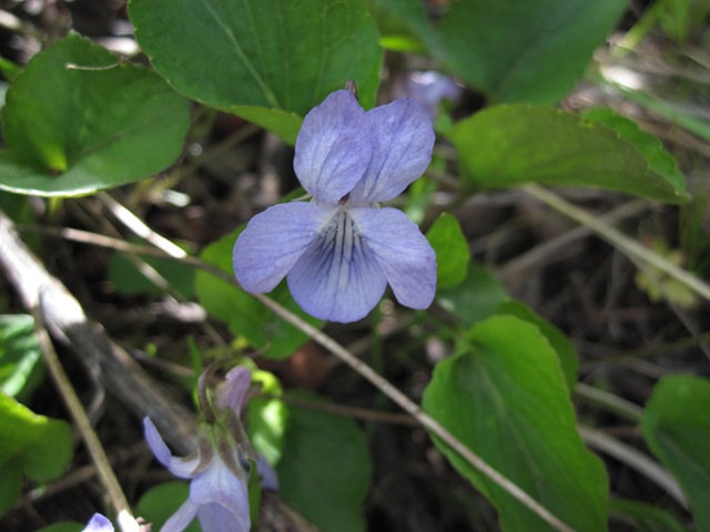 [IMG_54575.jpg]