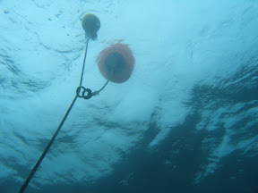 The shotline from below