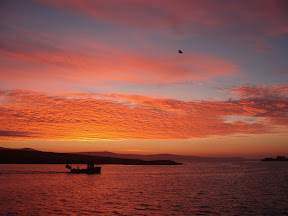 Leaving in the early morning light